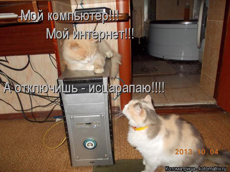 Мой компьютер!!! Мой интернет!!! А отключишь - исцарапаю!!!!... Котоматрица: Мой компьютер!!! Мой интернет!!! А отключишь - исцарапаю!!!!