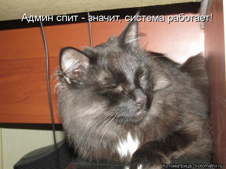 Админ спит - значит, система работает!... Котоматрица: Админ спит - значит, система работает!