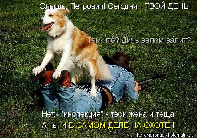 Там что? Дичь валом валит? Нет, "инспекция" - твои жена и тёща. А ты ... Котоматрица: Там что? Дичь валом валит? Нет, "инспекция" - твои жена и тёща. А ты ! И В САМОМ ДЕЛЕ НА ОХОТЕ Слышь, Петрович! Сегодня
