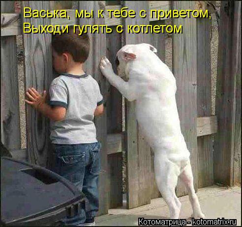 Васька, мы к тебе с приветом, Выходи гулять с котлетом Выходи гулять с котлетом... Котоматрица: Васька, мы к тебе с приветом, Выходи гулять с котлетом Выходи гулять с котлетом