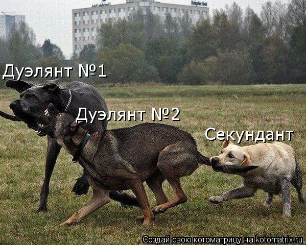 Дуэлянт №1 Дуэлянт №2 Секундант... Котоматрица: Дуэлянт №1 Дуэлянт №2 Секундант