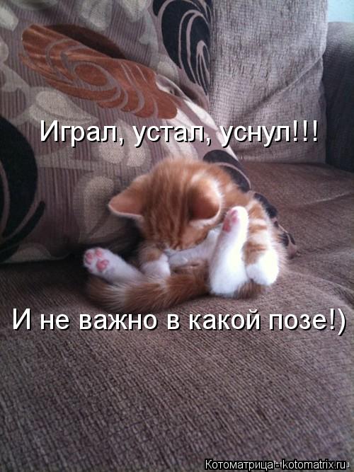 Играл, устал, уснул!!! И не важно в какой позе!)... Котоматрица: Играл, устал, уснул!!! И не важно в какой позе!)