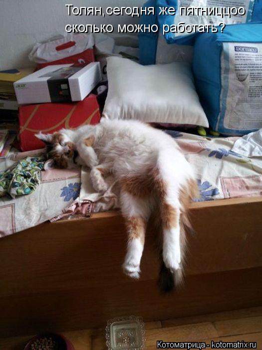 Толян,сегодня же пятниццоо сколько можно работать?... Котоматрица: Толян,сегодня же пятниццоо сколько можно работать?