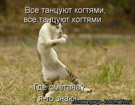 Все танцуют когтями, все танцуют когтями Где сметана? я-то знаю!... Котоматрица: Все танцуют когтями, все танцуют когтями Где сметана? я-то знаю!