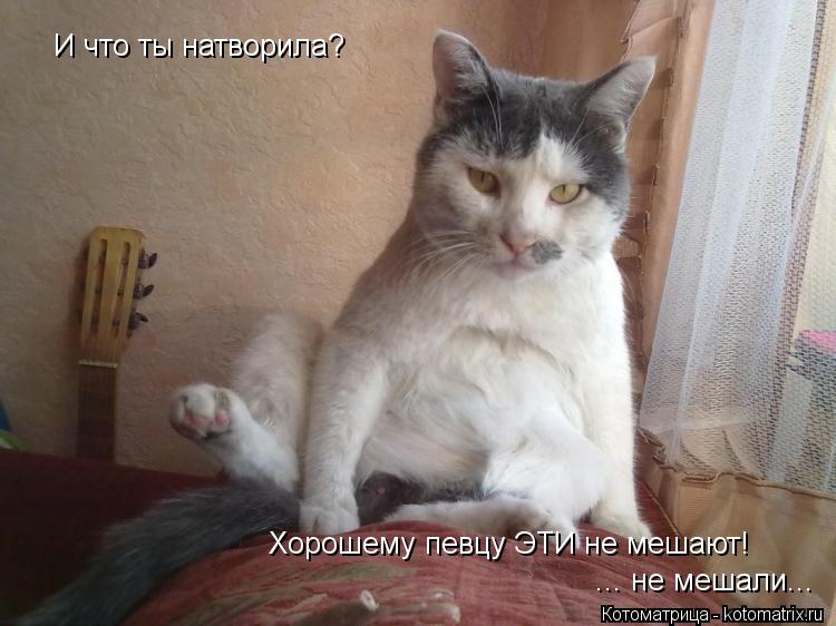 И что ты натворила? Хорошему певцу ЭТИ не мешают! ... не мешали...... Котоматрица: И что ты натворила? Хорошему певцу ЭТИ не мешают! ... не мешали...