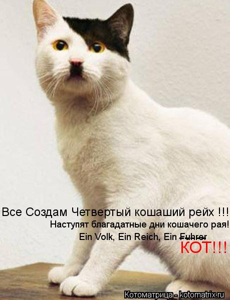 Котоматрица: Все Создам Четвертый кошаший рейх !!! Наступят благадатные дни кошачего рая! Ein Volk, Ein Reich, Ein Fuhrer ----- КОТ!!!