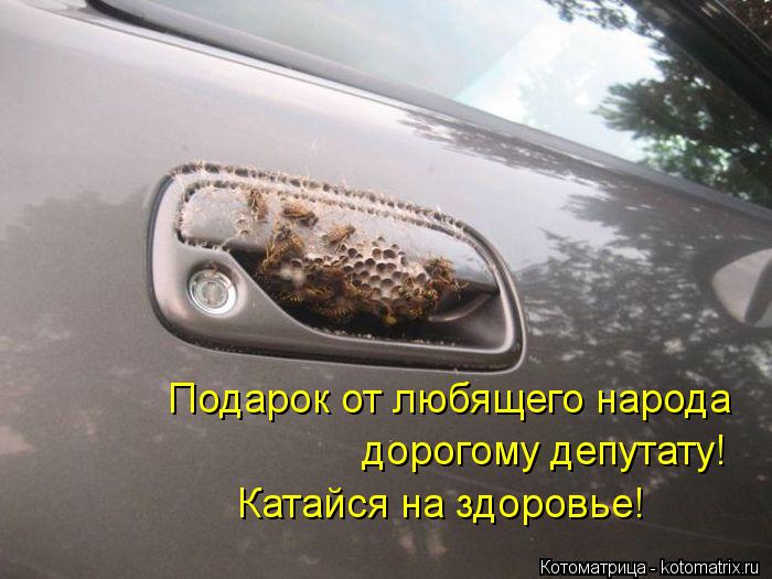 Подарок от любящего народа дорогому депутату! Катайся на здоровье!... Котоматрица: Подарок от любящего народа дорогому депутату! Катайся на здоровье!