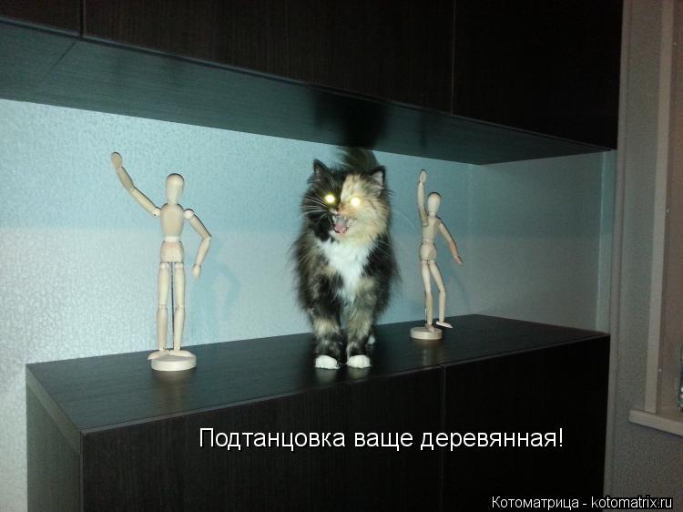 Подтанцовка ваще деревянная!... Котоматрица: Подтанцовка ваще деревянная!