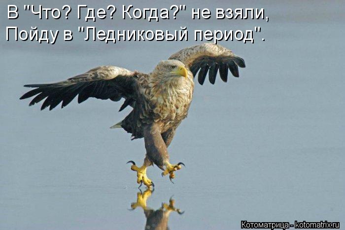 В "Что? Где? Когда?" не взяли, Пойду в "Ледниковый период".... Котоматрица: В "Что? Где? Когда?" не взяли, Пойду в "Ледниковый период".