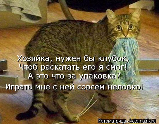 Хозяйка, нужен бы клубок, Чтоб раскатать его я смог! А это что за упаковка? Играть мне с ней совсем н... Котоматрица: Хозяйка, нужен бы клубок, Чтоб раскатать его я смог! А это что за упаковка? Играть мне с ней совсем неловко!