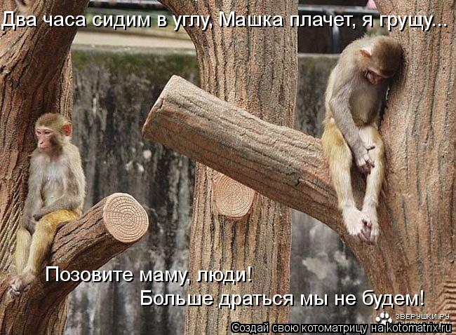 Два часа сидим в углу, Машка плачет, я грущу... Позовите маму, люди! Больше драться мы не будем!... Котоматрица: Два часа сидим в углу, Машка плачет, я грущу... Позовите маму, люди! Больше драться мы не будем!