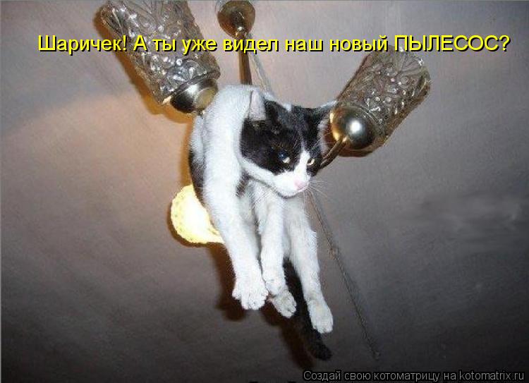 Шаричек! А ты уже видел наш новый ПЫЛЕСОС?... Котоматрица: Шаричек! А ты уже видел наш новый ПЫЛЕСОС?