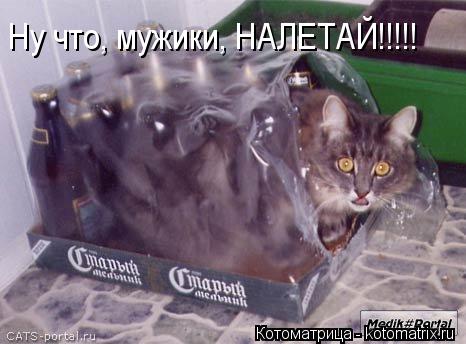 Ну что, мужики, НАЛЕТАЙ!!!!!... Котоматрица: Ну что, мужики, НАЛЕТАЙ!!!!!