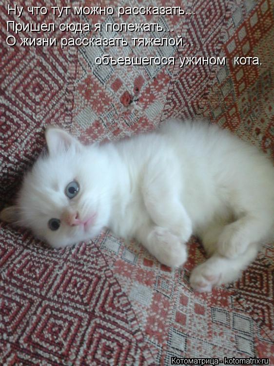 Ну что тут можно рассказать... Пришел сюда я полежать... О жизни рассказать тяжелой... объевшегося уж... Котоматрица: Ну что тут можно рассказать... Пришел сюда я полежать... О жизни рассказать тяжелой... объевшегося ужином кота.