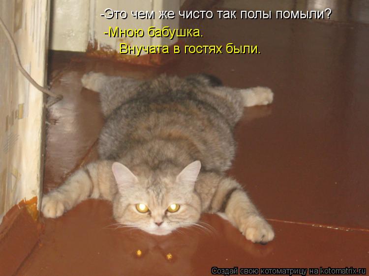 -Это чем же чисто так полы помыли? -Мною бабушка. Внучата в гостях были.... Котоматрица: -Это чем же чисто так полы помыли? -Мною бабушка. Внучата в гостях были.