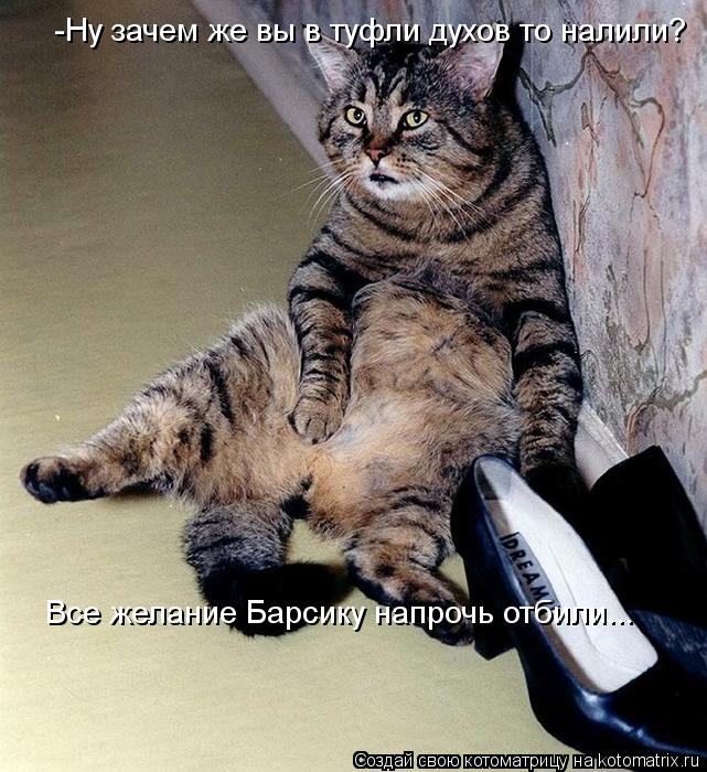 -Ну зачем же вы в туфли духов то налили? Все желание Барсику напрочь отбили...... Котоматрица: -Ну зачем же вы в туфли духов то налили? Все желание Барсику напрочь отбили...