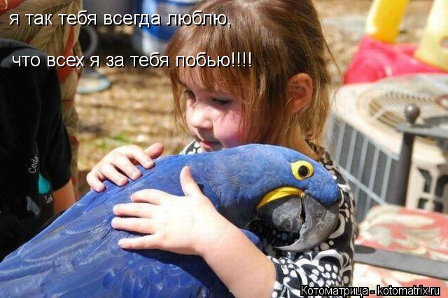 я так тебя всегда люблю, что всех я за тебя побью!!!!... Котоматрица: я так тебя всегда люблю, что всех я за тебя побью!!!!