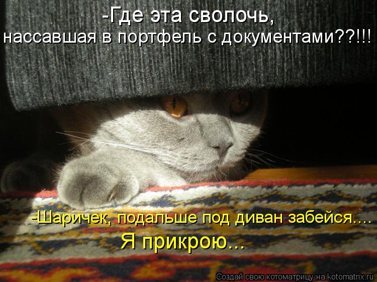 -Где эта сволочь, нассавшая в портфель с документами??!!! -Шаричек, подальше под диван забейся.... Я ... Котоматрица: -Где эта сволочь, нассавшая в портфель с документами??!!! -Шаричек, подальше под диван забейся.... Я прикрою...
