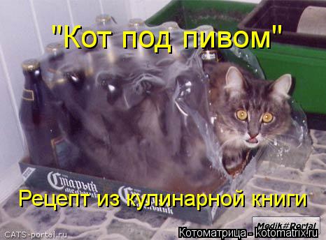 "Кот под пивом" Рецепт из кулинарной книги... Котоматрица: "Кот под пивом" Рецепт из кулинарной книги