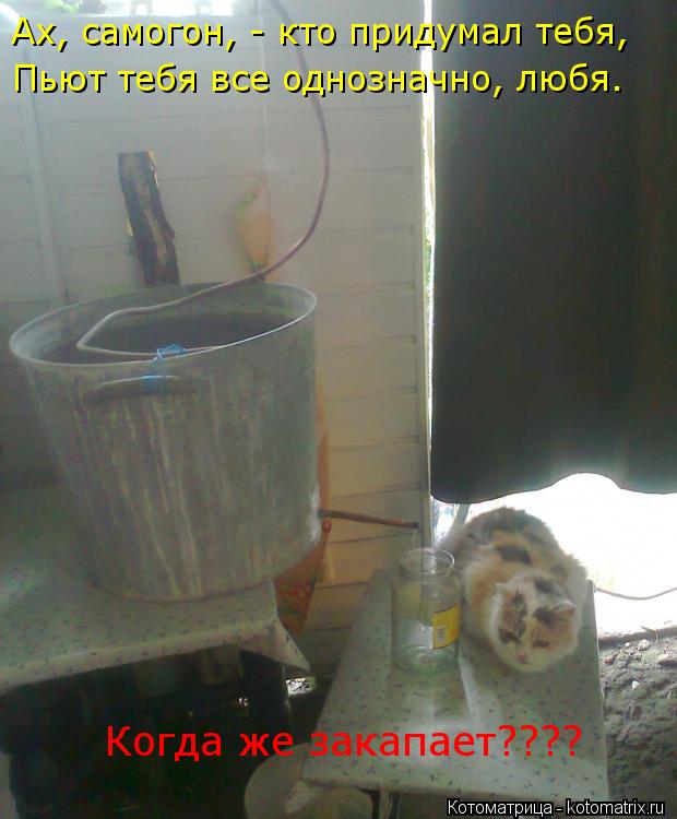Ах, самогон, - кто придумал тебя, Пьют тебя все однозначно, любя. Когда же закапает????... Котоматрица: Ах, самогон, - кто придумал тебя, Пьют тебя все однозначно, любя. Когда же закапает????
