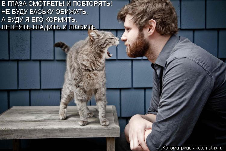 В ГЛАЗА СМОТРЕТЬ! И ПОВТОРЯТЬ! НЕ БУДУ ВАСЬКУ ОБИЖАТЬ. А БУДУ Я ЕГО КОРМИТЬ, ЛЕЛЕЯТЬ,ГЛАДИТЬ И ЛЮБИТЬ... Котоматрица: В ГЛАЗА СМОТРЕТЬ! И ПОВТОРЯТЬ! НЕ БУДУ ВАСЬКУ ОБИЖАТЬ. А БУДУ Я ЕГО КОРМИТЬ, ЛЕЛЕЯТЬ,ГЛАДИТЬ И ЛЮБИТЬ.