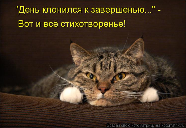 Котоматрица: "День клонился к завершенью..." - Вот и всё стихотворенье!