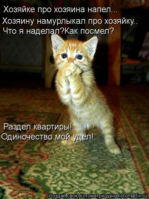 Хозяйке про хозяина напел... Хозяину намурлыкал про хозяйку.. Что я наделал?Как посмел? Раздел кварти... Котоматрица: Хозяйке про хозяина напел... Хозяину намурлыкал про хозяйку.. Что я наделал?Как посмел? Раздел квартиры! Одиночество мой удел!