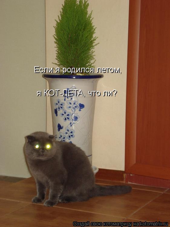 Если я родился летом, я КОТ-ЛЕТА, что ли?... Котоматрица: Если я родился летом, я КОТ-ЛЕТА, что ли?