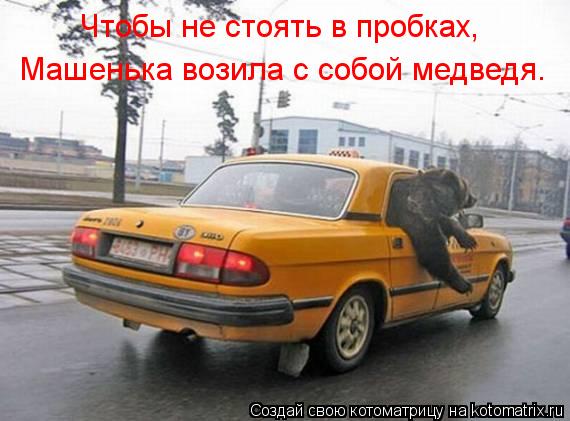 Чтобы не стоять в пробках, Машенька возила с собой медведя.... Котоматрица: Чтобы не стоять в пробках, Машенька возила с собой медведя.