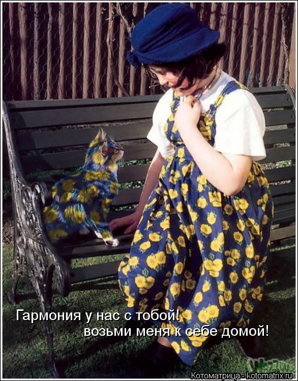 Гармония у нас с тобой! возьми меня к себе домой!... Котоматрица: Гармония у нас с тобой! возьми меня к себе домой!