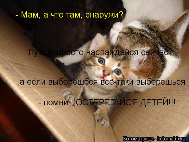 - Мам, а что там, снаружи? - Мам, а что там, снаружи? Лучше просто наслаждайся сейчас ,а если выбере... Котоматрица: - Мам, а что там, снаружи? - Мам, а что там, снаружи? Лучше просто наслаждайся сейчас ,а если выберешбся всё-таки выберешься - помни : ОСТЕРЕГАЙ
