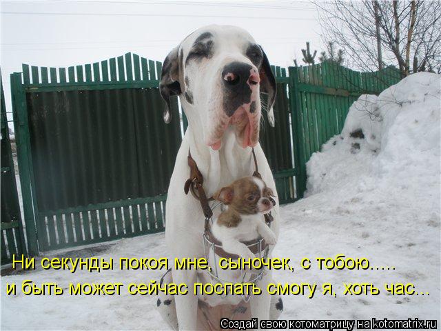 Ни секунды покоя мне, сыночек, с тобою..... и быть может сейчас поспать смогу я, хоть час...... Котоматрица: Ни секунды покоя мне, сыночек, с тобою..... и быть может сейчас поспать смогу я, хоть час...