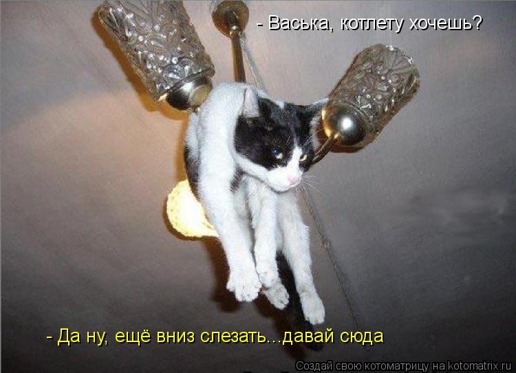 - Васька, котлету хочешь? - Да ну, ещё вниз слезать...давай сюда... Котоматрица: - Васька, котлету хочешь? - Да ну, ещё вниз слезать...давай сюда