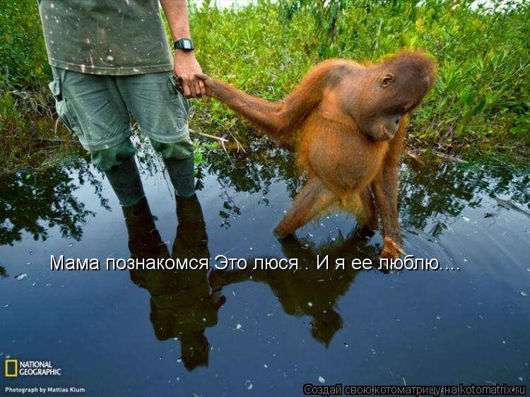 Мама познакомся Это люся . И я ее люблю....... Котоматрица: Мама познакомся Это люся . И я ее люблю....