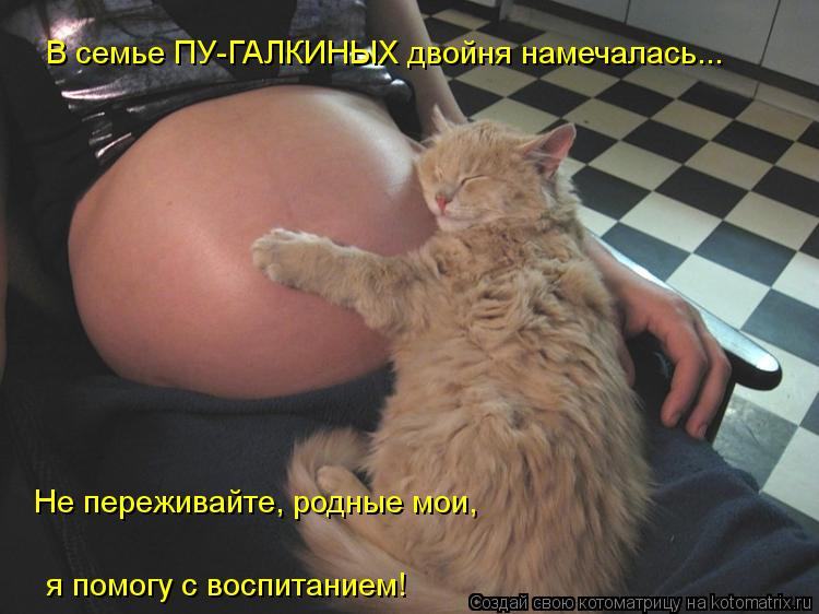 В семье ПУ-ГАЛКИНЫХ двойня намечалась... Не переживайте, родные мои, я помогу с воспитанием!... Котоматрица: В семье ПУ-ГАЛКИНЫХ двойня намечалась... Не переживайте, родные мои, я помогу с воспитанием!
