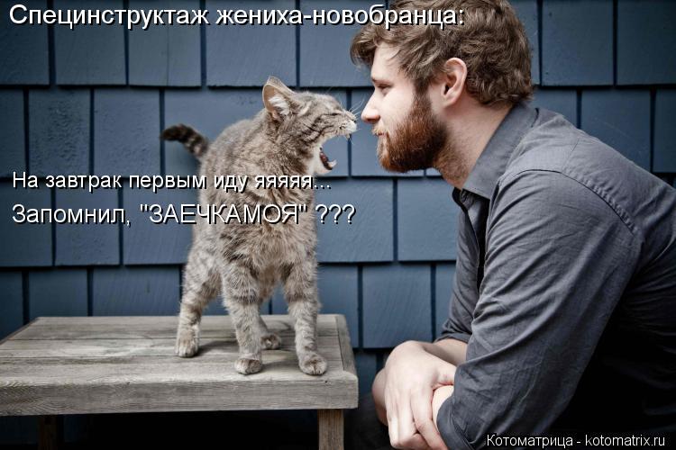 Специнструктаж жениха-новобранца: Запомнил, "ЗАЕЧКАМОЯ" ??? На завтрак первым иду яяяяя...... Котоматрица: Специнструктаж жениха-новобранца: Запомнил, "ЗАЕЧКАМОЯ" ??? На завтрак первым иду яяяяя...