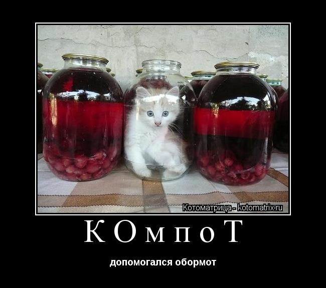 КОмпоТ допомогался обормот... Котоматрица: КОмпоТ допомогался обормот