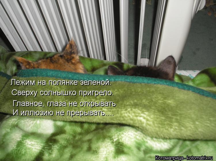 Лежим на полянке зеленой. Сверху солнышко пригрело. Главное, глаза не открывать И иллюзию не прерыват... Котоматрица: Лежим на полянке зеленой. Сверху солнышко пригрело. Главное, глаза не открывать И иллюзию не прерывать....