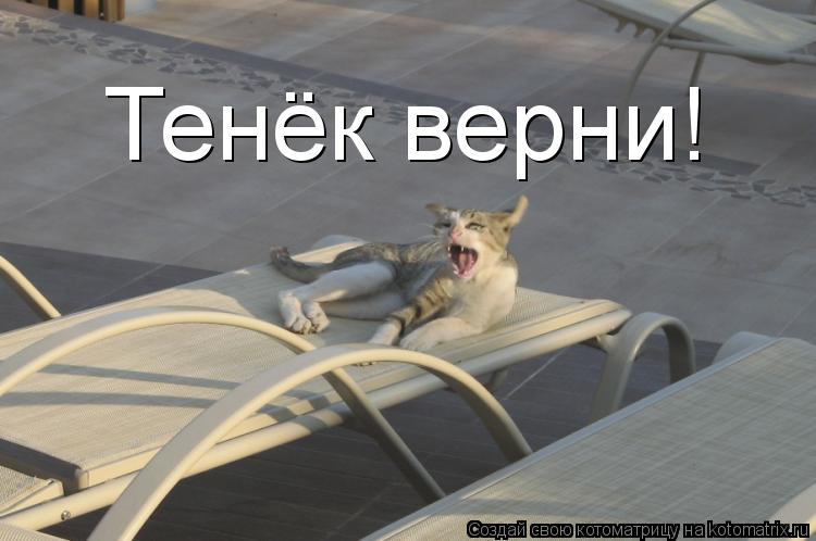 Тенёк верни!... Котоматрица: Тенёк верни!