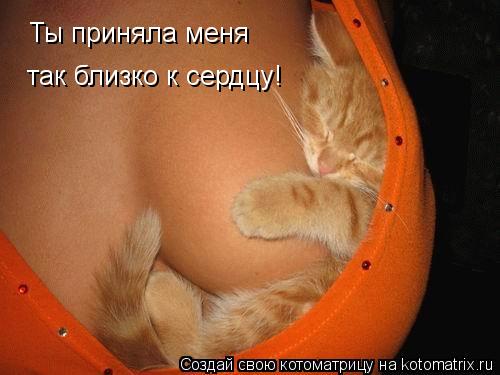 Ты приняла меня так близко к сердцу!... Котоматрица: Ты приняла меня так близко к сердцу!