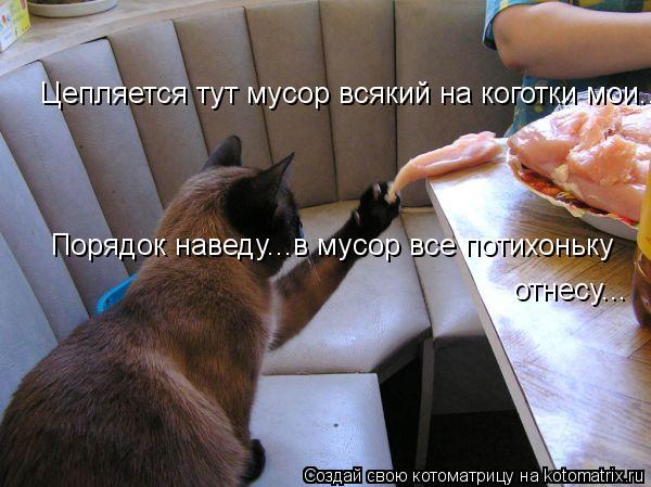 Цепляется тут мусор всякий на коготки мои... Порядок наведу...в мусор все потихоньку отнесу...... Котоматрица: Цепляется тут мусор всякий на коготки мои... Порядок наведу...в мусор все потихоньку отнесу...