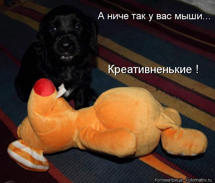 Креативненькие ! А ниче так у вас мыши...... Котоматрица: Креативненькие ! А ниче так у вас мыши...