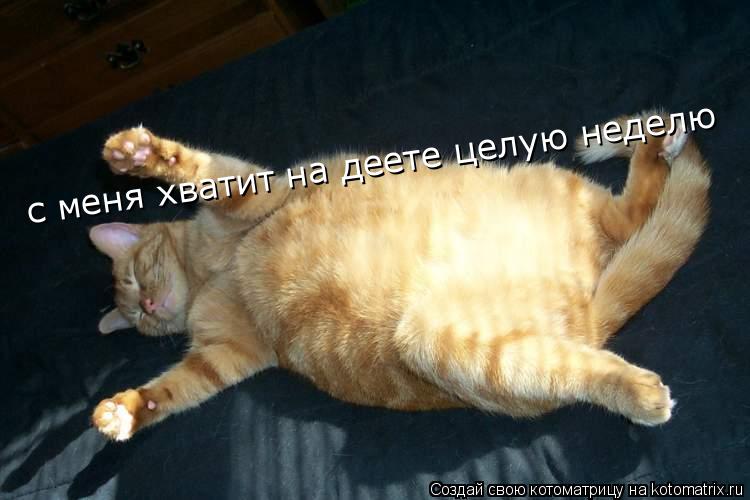 с меня хватит на деете целую неделю... Котоматрица: с меня хватит на деете целую неделю