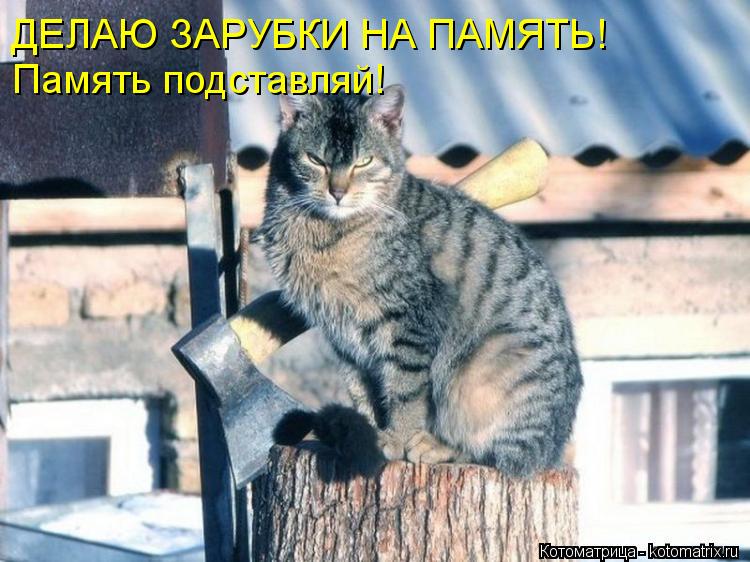 ДЕЛАЮ ЗАРУБКИ НА ПАМЯТЬ! Память подставляй!... Котоматрица: ДЕЛАЮ ЗАРУБКИ НА ПАМЯТЬ! Память подставляй!