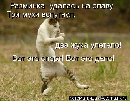 Разминка удалась на славу. Три мухи вспугнул, два жука улетело! Вот это спорт! Вот это дело!... Котоматрица: Разминка удалась на славу. Три мухи вспугнул, два жука улетело! Вот это спорт! Вот это дело!