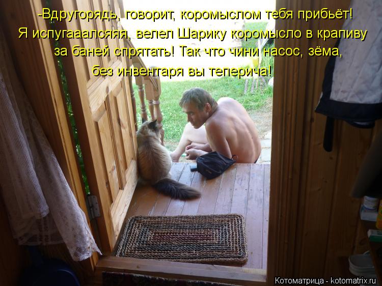 -Вдругорядь, говорит, коромыслом тебя прибьёт! Я испугааалсяяя, велел Шарику коромысло в крапиву за б... Котоматрица: -Вдругорядь, говорит, коромыслом тебя прибьёт! Я испугааалсяяя, велел Шарику коромысло в крапиву за баней спрятать! Так что чини насос, зёма,