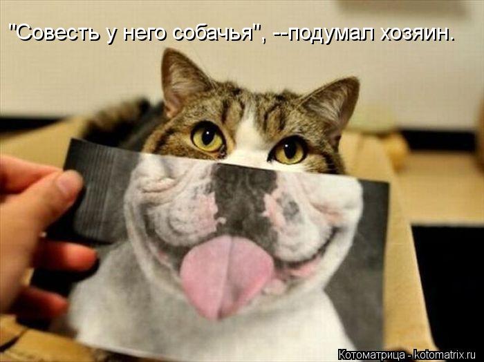 "Совесть у него собачья", --подумал хозяин.... Котоматрица: "Совесть у него собачья", --подумал хозяин.