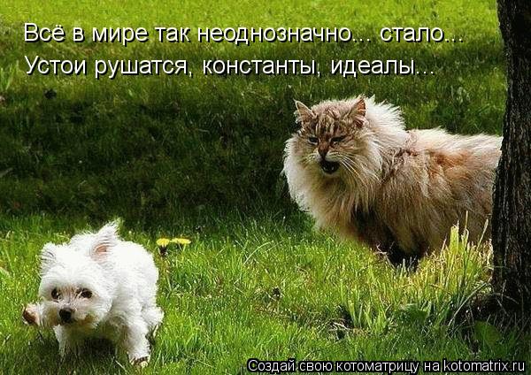 Всё в мире так неоднозначно... стало... Устои рушатся, константы, идеалы...... Котоматрица: Всё в мире так неоднозначно... стало... Устои рушатся, константы, идеалы...