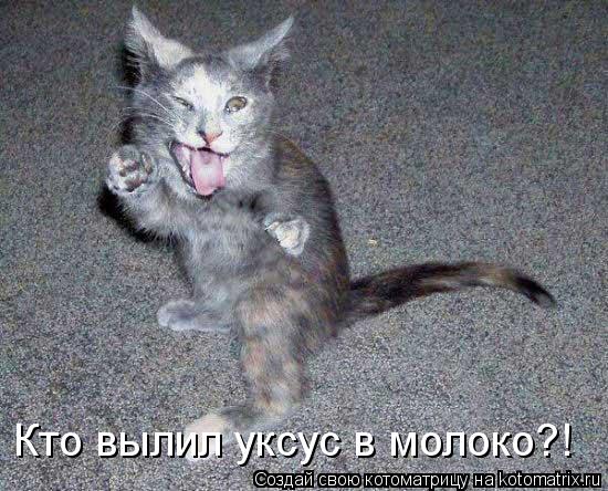 Кто вылил уксус в молоко?!... Котоматрица: Кто вылил уксус в молоко?!
