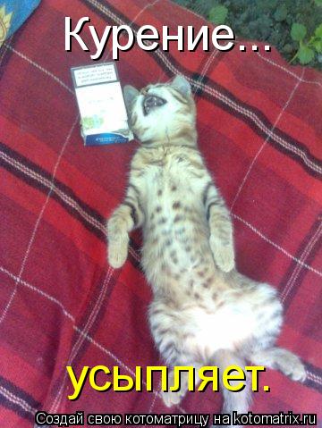 Курение... усыпляет.... Котоматрица: Курение... усыпляет.